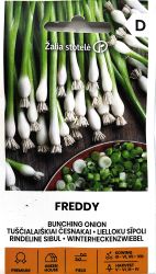 Onion Spring Freddy Seeds